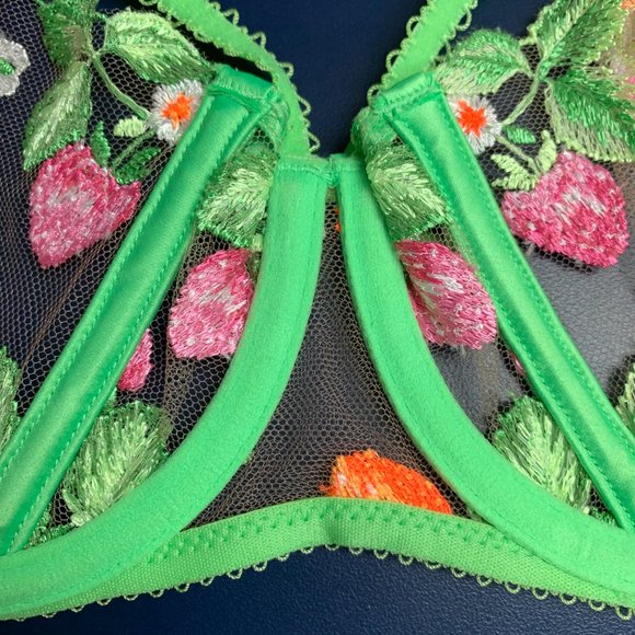 NWT Honey Birdette Lottie Lace Bra - Picture 8 of 14